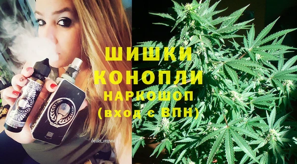 ешки Алексин