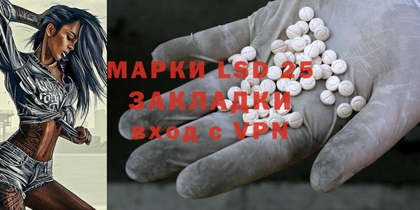 ГАЛЛЮЦИНОГЕННЫЕ ГРИБЫ Алексеевка
