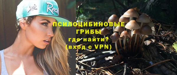 ГАЛЛЮЦИНОГЕННЫЕ ГРИБЫ Алексеевка