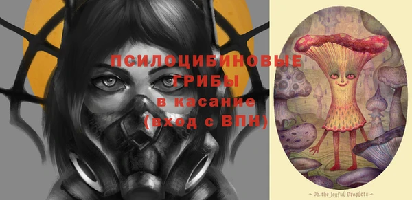 ешки Алексин